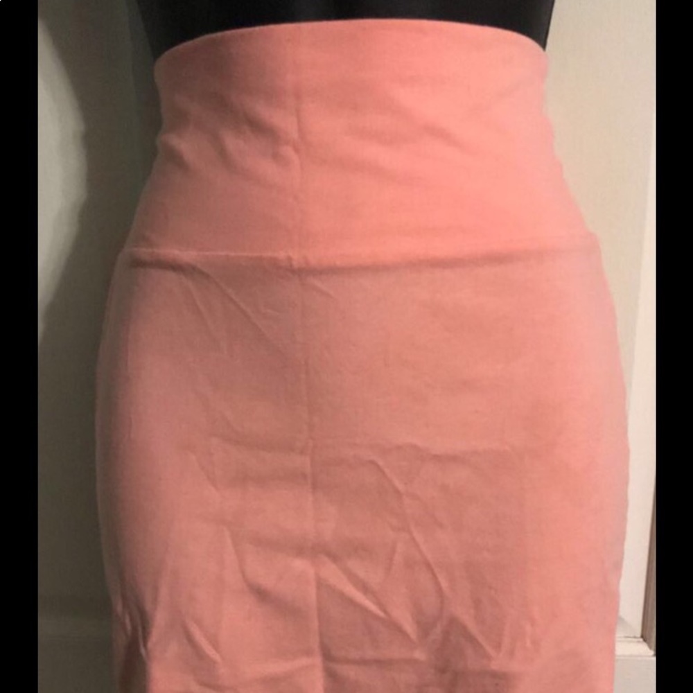 Charlotte Russe skirt